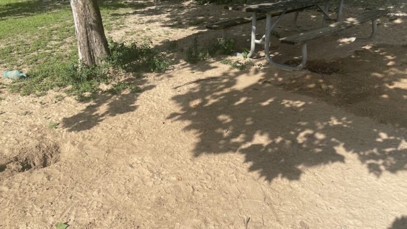 Ashton Brosnaham Dog park - Pensacola, FL