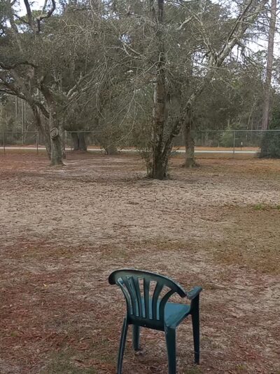 Bark Park at Bill Dickson Park - Pensacola, FL