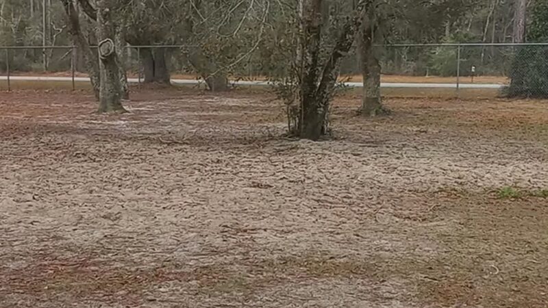 Bark Park at Bill Dickson Park - Pensacola, FL