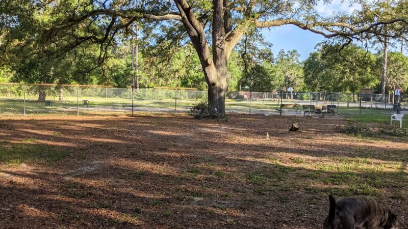 Bark Park at Bill Dickson Park - Pensacola, FL