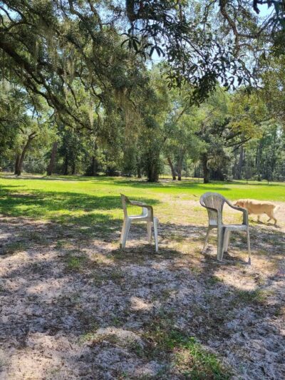 Bark Park at Bill Dickson Park - Pensacola, FL
