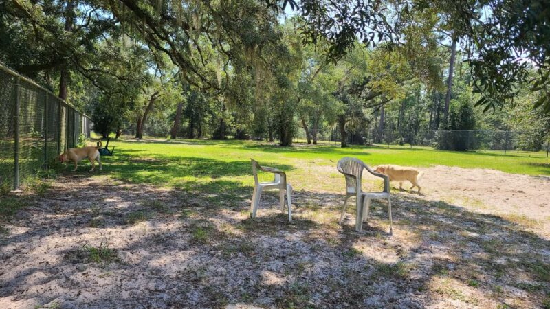 Bark Park at Bill Dickson Park - Pensacola, FL