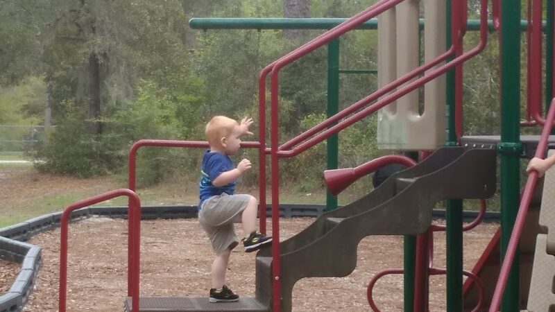 Bark Park at Bill Dickson Park - Pensacola, FL