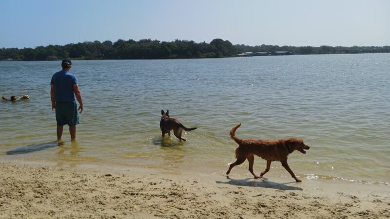 Bayview Dog Beach - Pensacola, FL