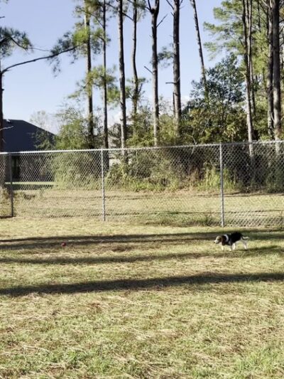 Beulah Regional Park - Pensacola, FL
