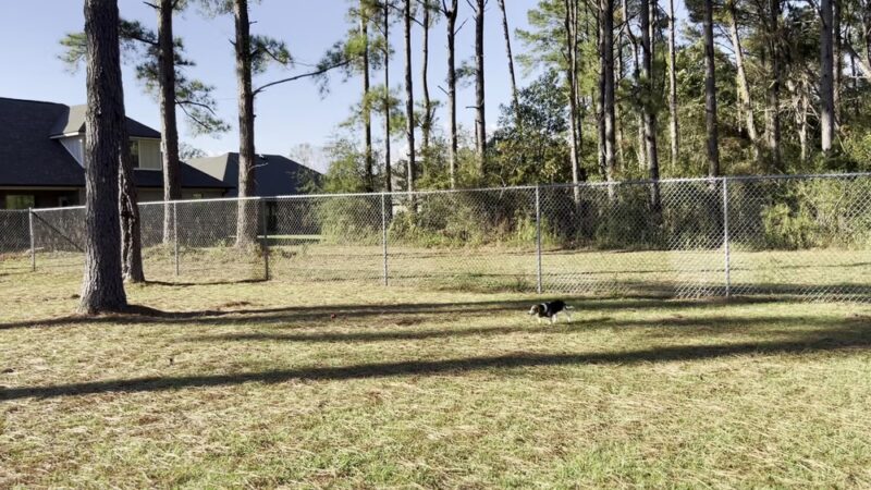 Beulah Regional Park - Pensacola, FL