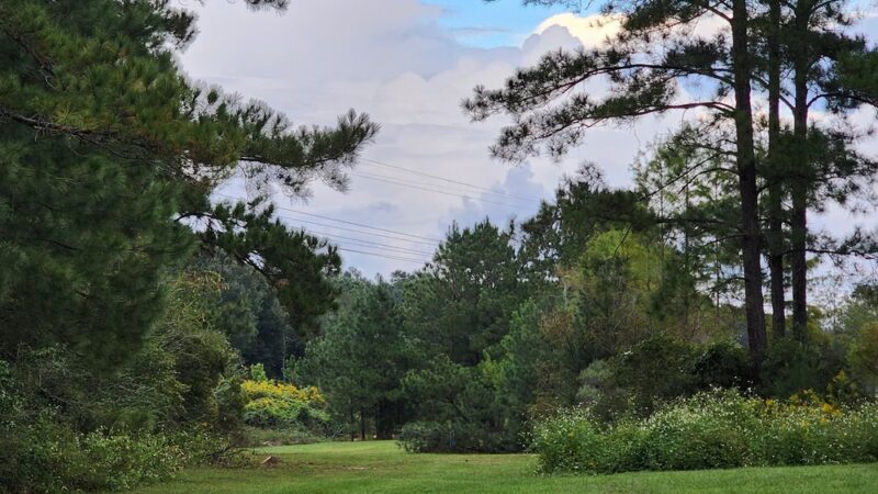 Beulah Regional Park - Pensacola, FL