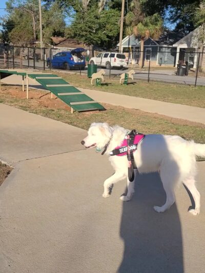 Kiwanis Park - Pensacola, FL