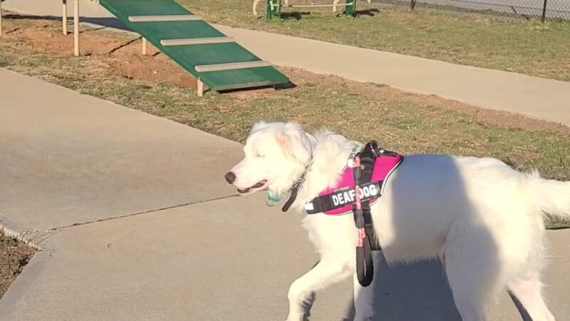 Kiwanis Park - Pensacola, FL