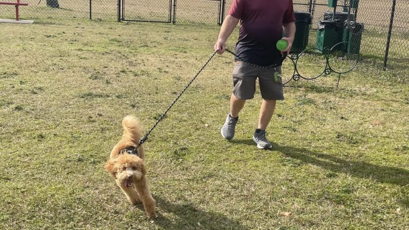 Kiwanis Park - Pensacola, FL