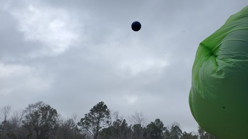 Lincoln Park - Pensacola, FL