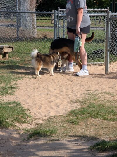 Lonnie G. Jones Dog Park - Pensacola, FL