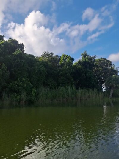 Public Park - Pensacola, FL