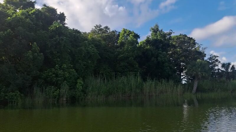 Public Park - Pensacola, FL