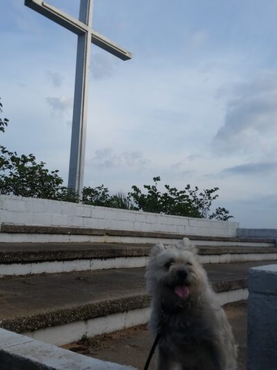Public Park - Pensacola, FL