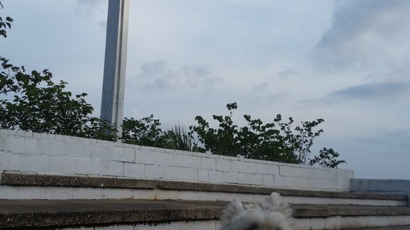 Public Park - Pensacola, FL