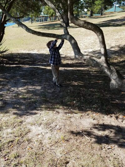Public Park - Pensacola, FL