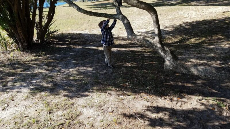 Public Park - Pensacola, FL