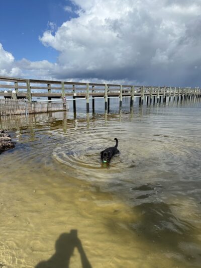 River Road Dog Park - Pensacola, FL