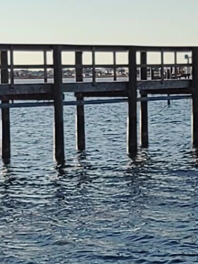 River Road Dog Park - Pensacola, FL