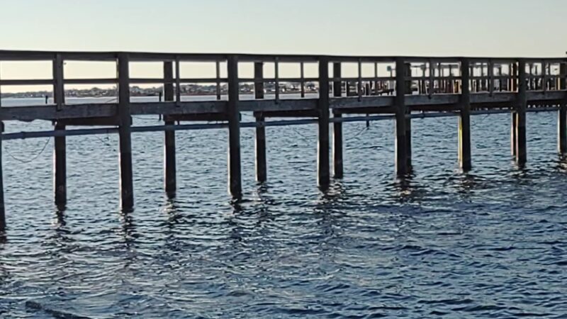 River Road Dog Park - Pensacola, FL