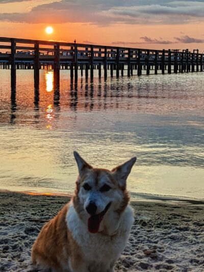 River Road Dog Park - Pensacola, FL