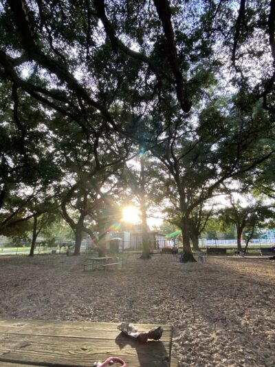Roger Scott Dog Park - Pensacola, FL
