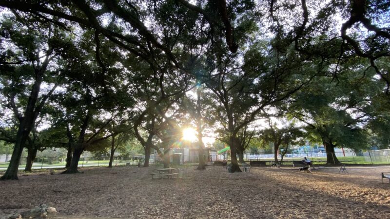 Roger Scott Dog Park - Pensacola, FL
