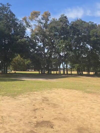 Roger Scott Dog Park - Pensacola, FL