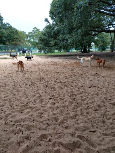 Roger Scott Dog Park - Pensacola, FL