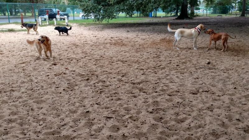 Roger Scott Dog Park - Pensacola, FL