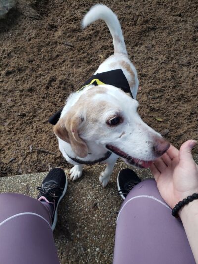 Roger Scott Dog Park - Pensacola, FL