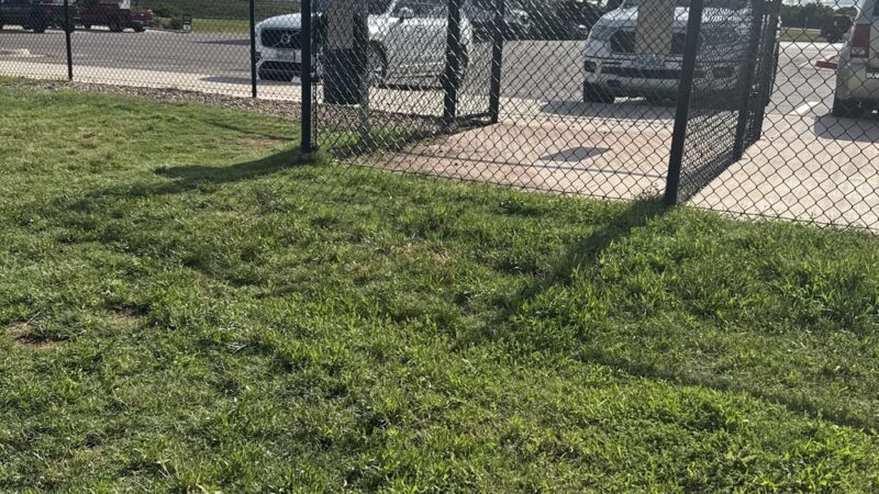 Dog Park at Love's Travel Stops - Perry, OK