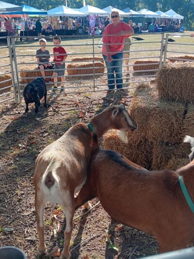 Perryville City Park - Perryville, AR