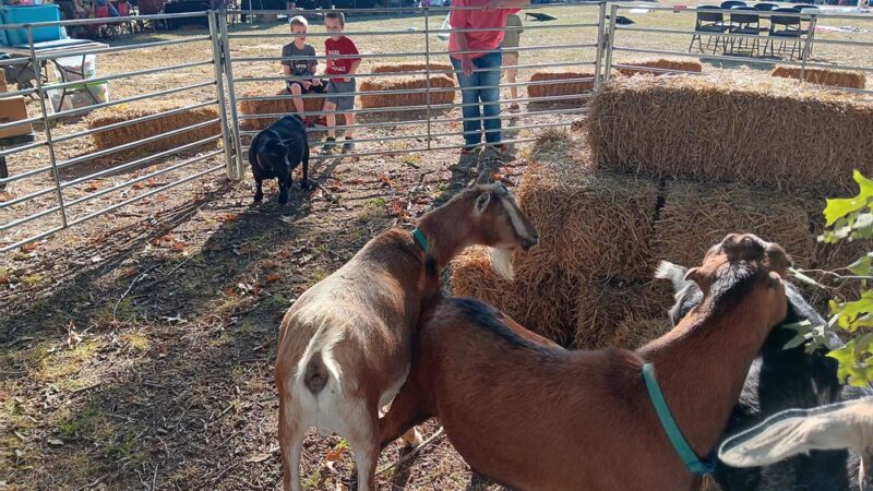 Perryville City Park - Perryville, AR