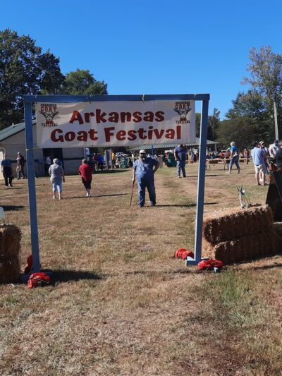 Perryville City Park - Perryville, AR