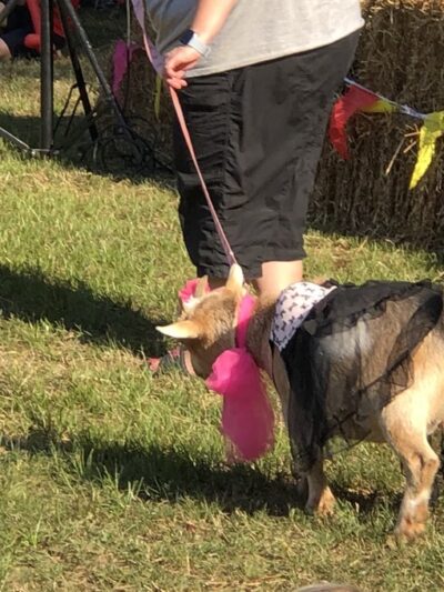 Perryville City Park - Perryville, AR