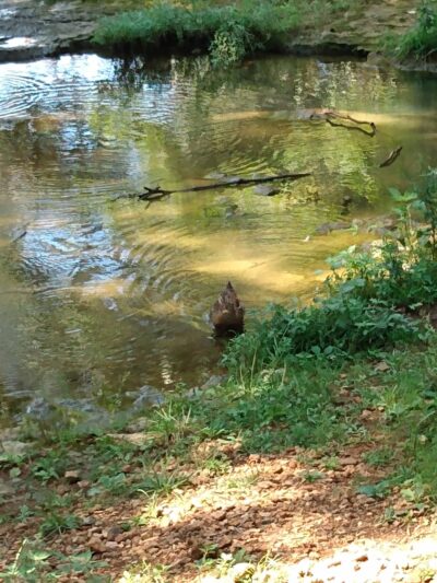 Ethan's Creek - Perryville, MO