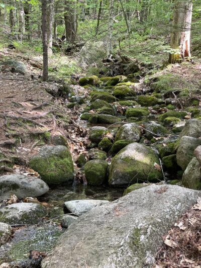 Wapack Trail Northern Terminus - Peterborough, NH