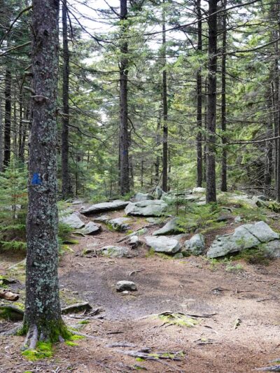 Wapack Trail Northern Terminus - Peterborough, NH