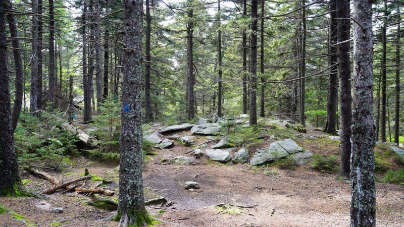 Wapack Trail Northern Terminus - Peterborough, NH