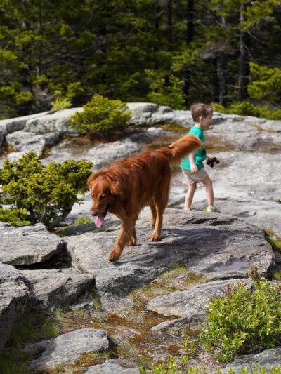 Wapack Trail Northern Terminus - Peterborough, NH