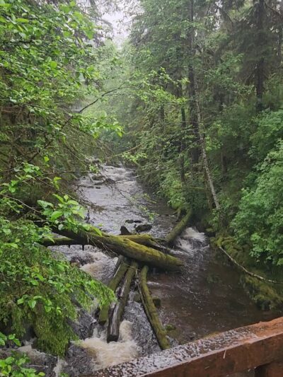 City Creek Trail - Petersburg, AK