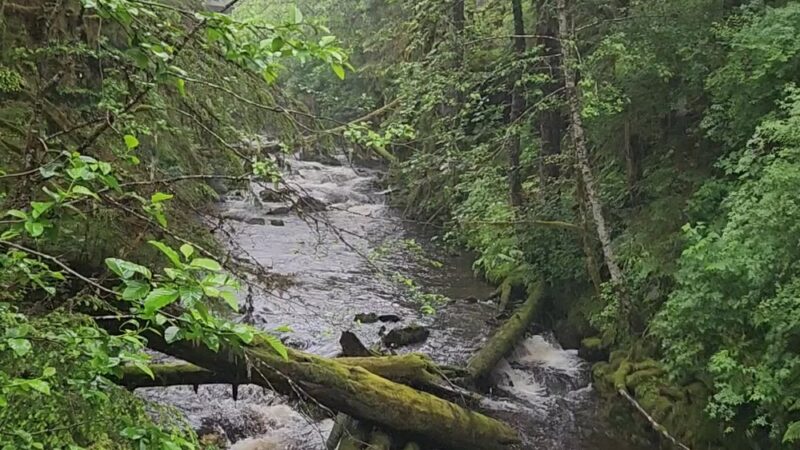 City Creek Trail - Petersburg, AK