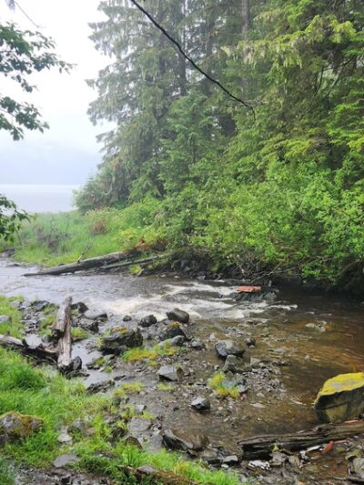 City Creek Trail - Petersburg, AK