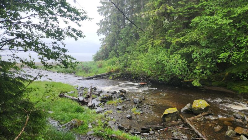 City Creek Trail - Petersburg, AK