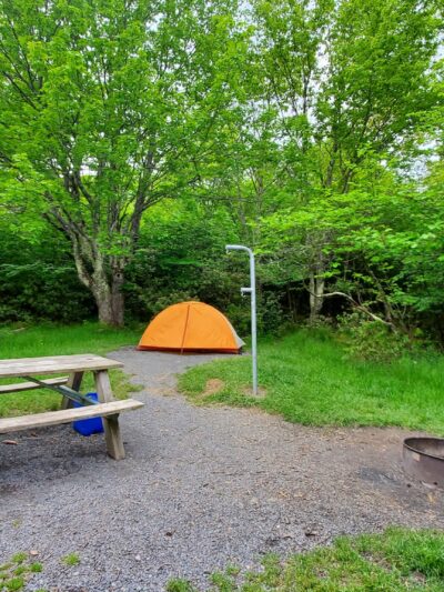 Red Creek Campground - Petersburg, WV