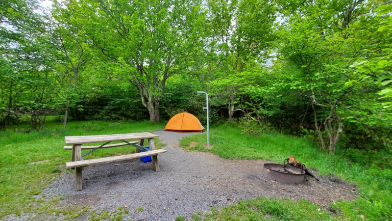 Red Creek Campground - Petersburg, WV