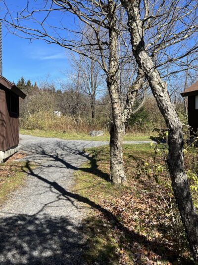 Red Creek Campground - Petersburg, WV