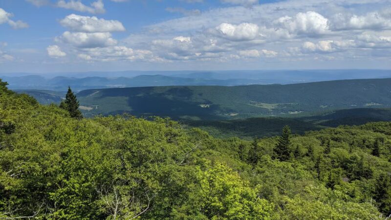 Red Creek Campground - Petersburg, WV